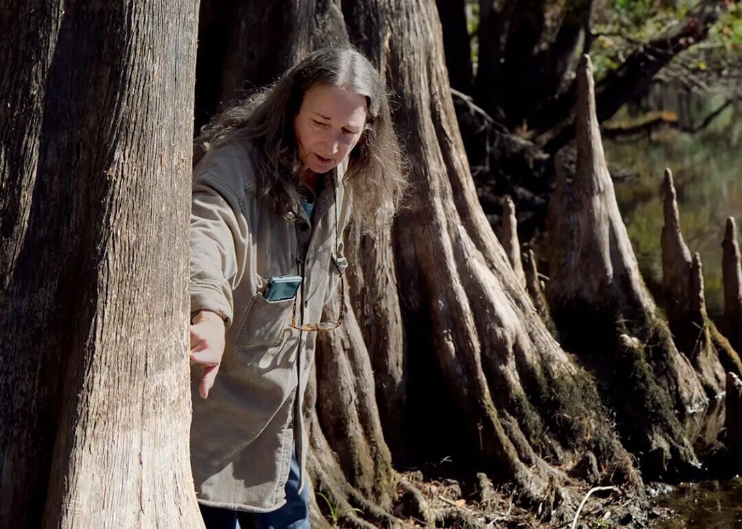 Florida's Springs Signal Groundwater Problems